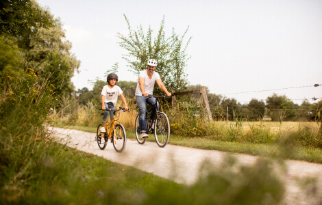 Para que disfrutes los paseos junto a los niños de la casa, conoce nuestra variedad de bicicletas